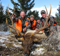 Beautiful 6X6 bull elk