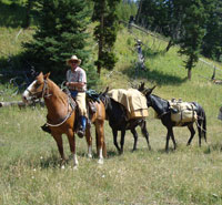 Tim with the mules
