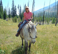 Rider and grey horse